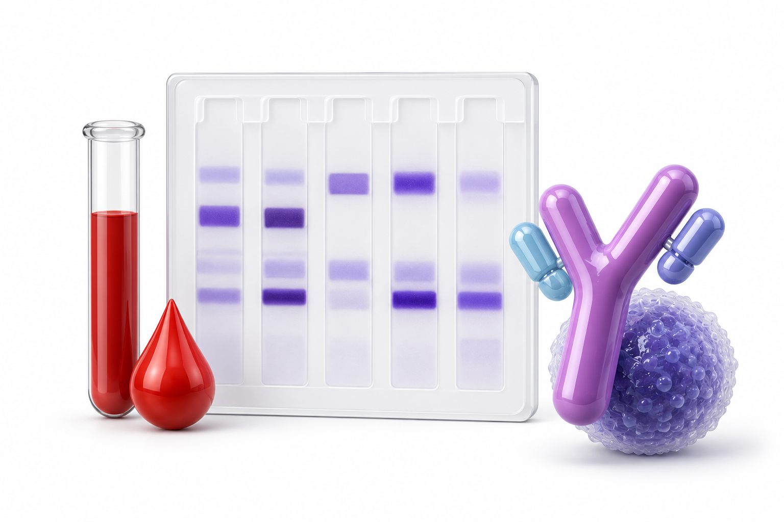 Immunofissazione sierica: cos'è, a cosa serve e come si legge
